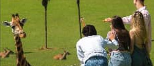 PARQUE DE LA NATURALEZA DE CABÁRCENO